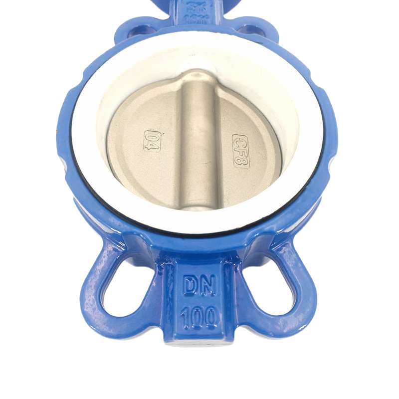 butterfly wafer type valve detail